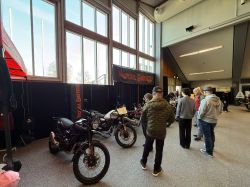 IMG 6987