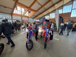 IMG 7186